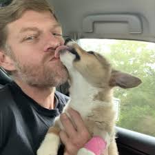 TOP 10 BEST Mobile Veterinary Services near El Dorado, AR