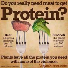 You Really Don T Need Meat For Protein Intake Broccoli Alone Is Proof That Your Intake Is Higher Than Eating Beef Vegan Facts Going Vegan Why Vegan