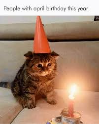 Thirty Memes To Take Into The Corona Pocalypse Memebase Funny Memes In 2020 Cute Little Animals Cute Cats Cute Funny Animals
