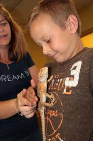 Bringing some SASS to Science