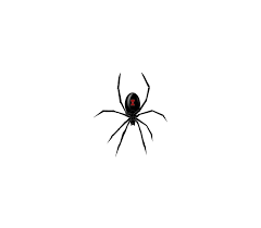 Cliparts Co Black Widow Spider Clip Art Art