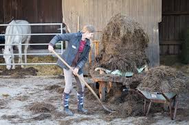 3 wochen, bis motorische endplatte neu gebildet ist. Botulismus Durch Silagefutterung Landwirt Haftet