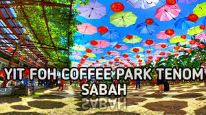Banyak bukan tempat menarik yang boleh dilawati di perak ni kan. Yit Foh Coffee Park Tenom Sabah Youtube