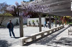 Location & Hours — National Bonsai Foundation