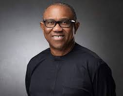 Asake, Peter Obi, World Cup top Nigerians' Google search in 2022