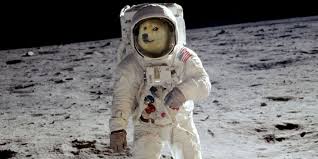 He could make an even bigger impact by starting a. How Much Dogecoin Would It Take To Actually Go To The Moon The Daily Dot
