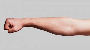 I did find one designed by shown here link i tweaked it a fair bit since what i'm planning on getting would be more easily understood in this format (personal prefence of. New Tattoo Mockup Templates