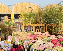 Weavervale Garden Centre Northwich In West Cheshire Northwich Cw8 4ee