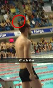 Cal Conway on X: Someone is sharking through the water with their top knot  lmao - put a swimming cap on lad t.comgSQZFj4ic  X