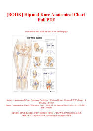 Book Hip And Knee Anatomical Chart Full Pdf