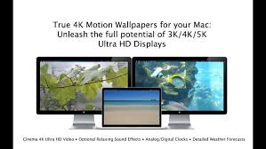 Here're the best websites to download dynamic wallpapers for mac. Serenity K Live Wallpaper For Mac