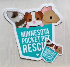 Maybe you would like to learn more about one of these? Home Mn Pocket Pet Rescue