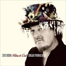 In 1993, zucchero has also released a studio album with the band adelmo e i suoi sorapis, also including equipe 84's maurizio vandelli and pooh's dodi battaglia. Zucchero Fornaciari Fanpage Home Facebook