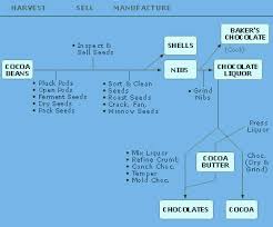 the production of chocolate