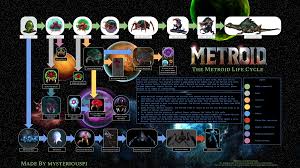 Comprehensive Metroid Life Cycle And Mutations Diagram Metroid
