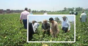 الخبر غير متاح breaking news news soccer field
