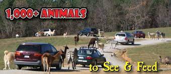 Safari Park Safari Park Virginia Vacation Park Homes