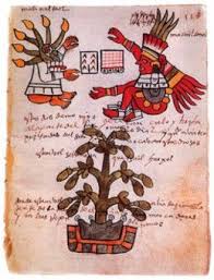 Cacao Chocolat Sante 1er Partie Cacao Chocolat Art Azteque