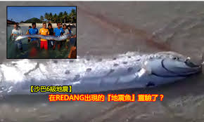 鱼鲊地震是1955年9月23日23:06發生的地震。震中位於攀枝花仁和區大龍潭鄉和會利縣魚鮓鄉附近。 拉鲊當時屬於雲南省永仁縣，現在屬於四川省。於閘仍然像現在一樣屬於四川會利縣。地震的面波震級是6.8 。 據報導，地震中有728人死亡，1547人受傷 。 æ²™å·´6ç´šåœ°éœ‡ è­‰å¯¦åœ¨redangå‡ºç¾çš„ åœ°éœ‡é­š éˆé©—äº† å…§æœ‰å½±ç‰‡