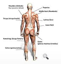 Are you looking for some collections of gym names? Squats And Deadlifts After 40 Don T Do It Fitness Com