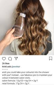 Pin By Womanwithbighair On Evo Fabuloso Hair Color Sallys Hair Dye Hair Color Formulas