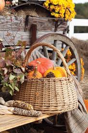 Maybe you would like to learn more about one of these? 15 Cozy Basket Displays For The Fall Shelterness