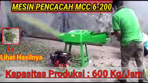 Rumput seringkali ditanam sebagai tanaman hias, tanaman obat, dan pakan ternak. Mesin Pencacah Rumput Mesin Cooper Teknik Bersama Youtube