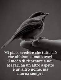 Alfredo Citazioni Sagge Citazioni Sulla Morte Citazioni Citabili