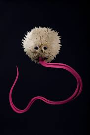 Care Of Magical Creatures Series Unconventional Pets Wizarding World Magical Creatures Harry Potter Beasts Creatures