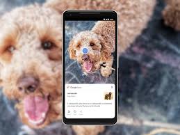 How To Use Google Lens The Verge