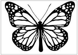 Maybe you would like to learn more about one of these? Sk H 3d Butterfly Drawing Black And White Novocom Top