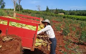 May day has different customs associated with the holiday ranging from family time to workers' rallies. 8 De Octubre Dia Del Trabajador Rural Y Dia Provincial De La Conservacion De Suelos Agencia De Noticias Guacurari