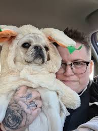 I think I have a slight obsession... 😅