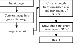 Figure 5 From Automated Red Blood Cells Counting In