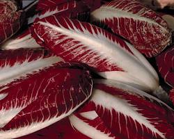 Immagine di Radicchio di Treviso tipo spadone