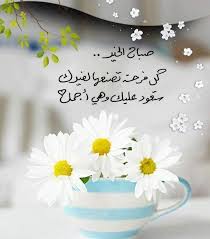 pin by ya aazanaas on صباح و مساء good morning greetings good morning arabic ramadan kareem pictures