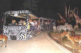 Exploring the night zoo, the animals are smashing at night an animal show called the elf of the night is the ace of the singapore night zoo. Night Safari Zoo Singapore Best Places In Singapore Singapore Zoo Singapore Travel