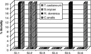 Image result for Indigofera daleoides