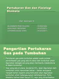 Pada teori tunika korpus, dijelaskan bahwa titik pertumbuhan pada tumbuhan dibagi ke dalam dua lapisan, yai titik tumbuh lapisan pinggir dan titik tumbuh lapisan dalam. Ppt Pertukaran Gas Dan Fisiologi Stomata