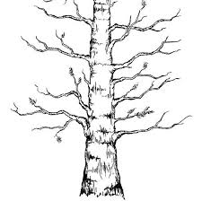 Tall Larch Tall Pine Tree Thumbprint Guest Book Event Drawing Frames Tree Drawing Tree Art