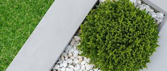 Dean Backholm Landscape Design • Seattle • Fresh Chalk