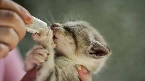 ايات قرآنية عن الماء المرسال