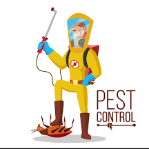 Hal 2nd stage, indiranagar, bengaluru, karnataka 560008, india. Max Pest Control Home Facebook