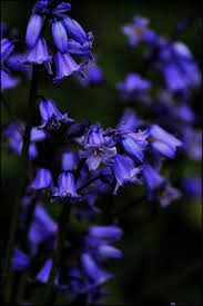 Pin On Beauty Nature