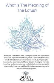 31 Ideas Flowers Tattoo Meanings Strength Mandala Tattoo En 2020 Tatuajes Que Signifiquen Fortaleza Flor De Loto Significado Significados De Tatuajes De Flores