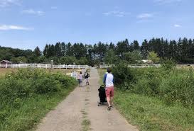 Traveling animal shows and petting zoo. Brookhollow S Barnyard A Sweet Nj Petting Zoo With The Cutest Animals Mommypoppins Things To Do In New Jersey With Kids