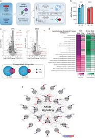 How does our tool work without losing meaning in the text? Data Independent Acquisition Method For Ubiquitinome Analysis Reveals Regulation Of Circadian Biology Nature Communications