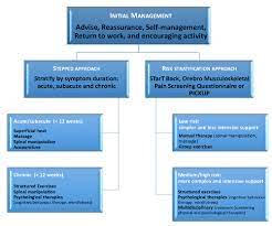 Low Back Pain Physiopedia