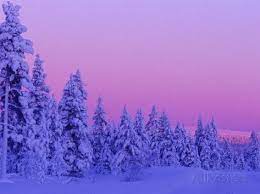 Where can i get a free winter background? Sunset In The Lappish Winter Finland Photographic Print By Daisy Gilardini At Allposters Com Winter Snow Pictures Beautiful Winter Scenes Winter Wallpaper