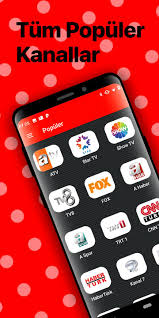1993 yılında kurulan atv şu anda turkuvaz medya grubu bünyesinde faaliyetlerine devam etmektedir. Canli Tv Izle Canli Televizyon Yayinlari For Android Apk Download